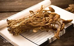 干茶树菇泡发窍门 茶树菇的功效与作用