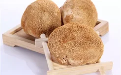 猴头菇的做法 猴头菇怎么做好吃