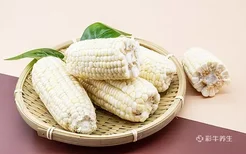 粘玉米的营养价值及功效与作用 吃粘玉米的好处