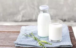 金典有机奶和纯牛奶区别 如何区分金典有机奶纯牛奶
