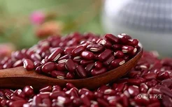 红豆的营养价值及功效 吃红豆有什么好处