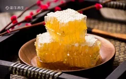 蜂蜡的作用与功效吃法 蜂蜡的好处及食用方法