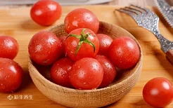 小西红柿的功效与作用 小西红柿的营养价值