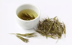 竹叶茶的功效与作用及禁忌 竹叶茶的好处与注意事项