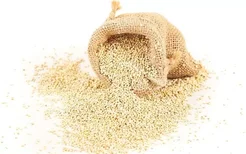 藜麦的营养价值和功效 吃藜麦的好处