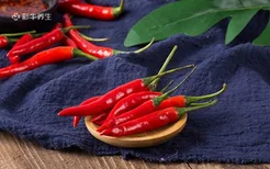 吃辣椒有什么好处 辣椒的功效与作用