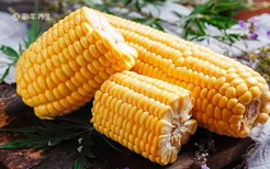 鲜玉米中含有大量的哪种天然维生素 鲜玉米怎么保存