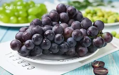 怀孕吃葡萄有什么好处 孕妇吃葡萄的功效