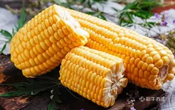 玉米的功效与作用及营养价值 吃玉米有什么好处