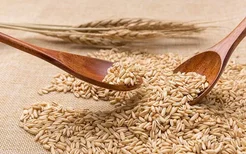 燕麦麸皮的功效与作用 燕麦麸皮的好处有哪些