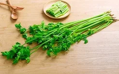 芹菜叶的功效与作用 芹菜叶有哪些好处