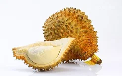 榴莲是什么季节的水果 榴莲的功效与作用