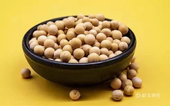 黄豆泡多久可以打豆浆 豆浆的功效与作用