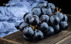 葡萄和提子的区别 葡萄和提子有什么区别