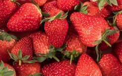 长得畸形的草莓能不能吃？畸形草莓不代表有激素
