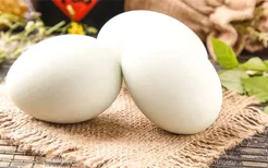 鸭蛋的最佳吃法，新鲜鸭蛋怎么保存？