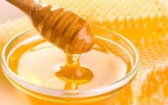 高血糖能吃蜂蜜吗