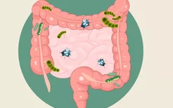 肠炎患者吃什么食物好 肠炎注意什么饮食禁忌