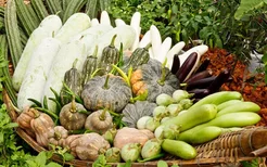 立秋之后哪些蔬菜过季，你购物单上的蔬果该更新了