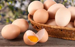 蛋黄为什么会出现散开的现象？蛋黄散开以后还能吃吗