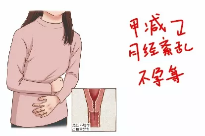 女人甲减表现图