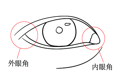 眼角部位图片