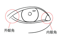 眼角是哪个部位及图片