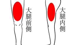 生长激素打腿哪个部位图解