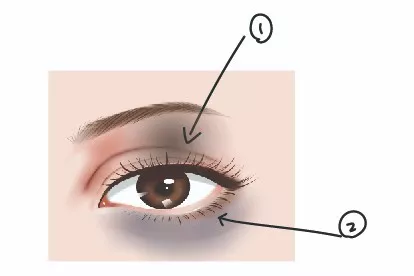 黑眼圈位置图片