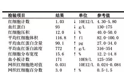 血常规RBC图