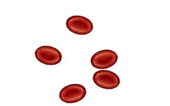 血红蛋白图