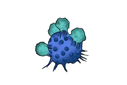 NK细胞图片