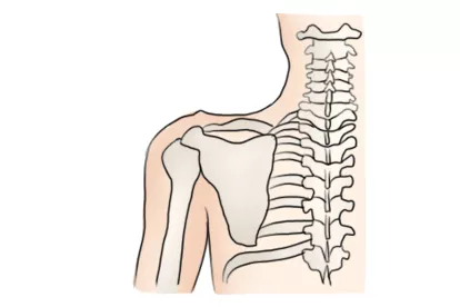 左肩疼痛部位图