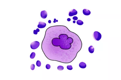 颗粒型巨核细胞图