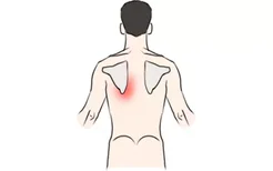 左肩胛下区疼痛示意图