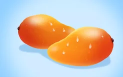 吃芒果容易发胖吗 芒果容易导致人体发胖吗