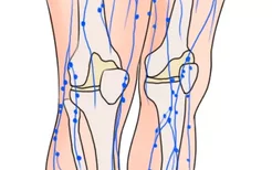 膝盖内侧淋巴结位置图