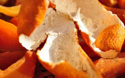 橘子皮的功效与作用 橘子皮的药用价值