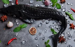 吃黑鱼的禁忌 吃黑鱼有哪些注意事项