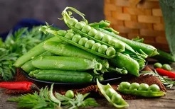 吃豌豆的禁忌 吃豌豆的注意事项有哪些