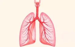 新冠肺炎患者的肺为什么会变白 新冠肺炎患者的肺为什么会变白呢