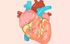 心跳快可能是心肌炎吗 心跳快可不可能是心肌炎
