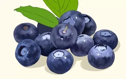 蓝莓可以晚上吃吗会不会发胖 蓝莓能晚上吃吗会不会发胖