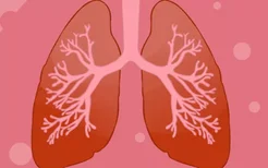 养肺润肺的方法大全 养肺润肺的方法大全有什么