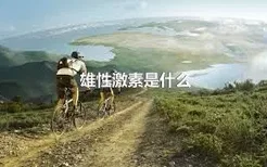 雄性激素是什么