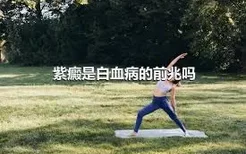 紫癜是白血病的前兆吗