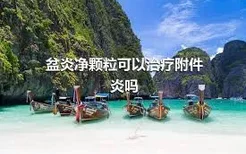 盆炎净颗粒可以治疗附件炎吗