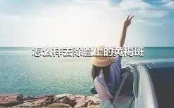 怎么样去除脸上的黄褐斑