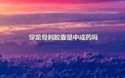 穿龙骨刺胶囊是中成药吗