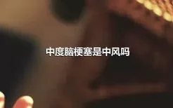 中度脑梗塞是中风吗